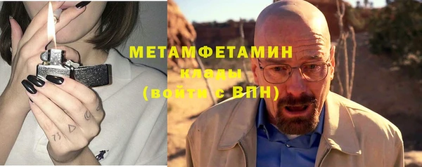 прущие грибы Богородицк