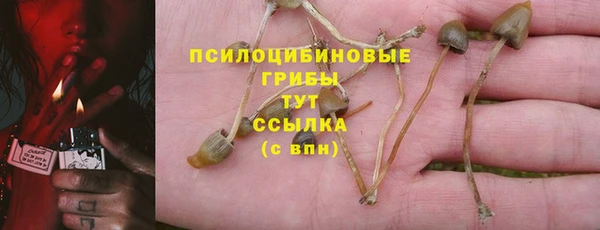 марихуана Белокуриха