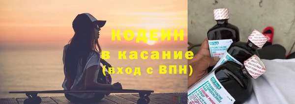 прущие грибы Богородицк