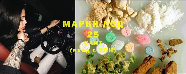 гашик Богородск