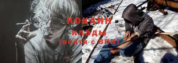прущие грибы Богородицк