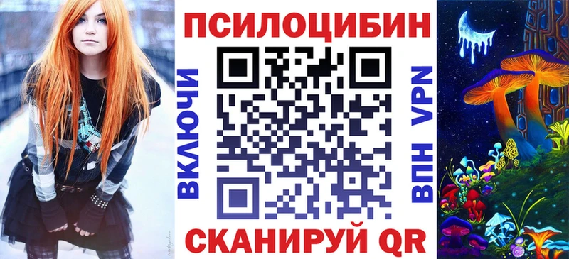 Псилоцибиновые грибы Psilocybe  Боровичи 