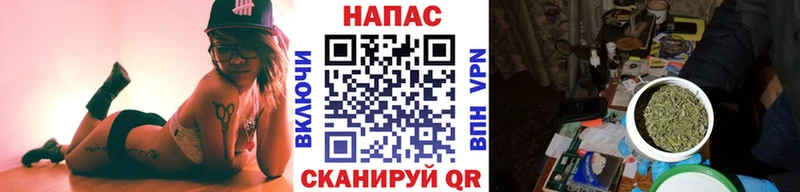 наркошоп  Боровичи  Бошки марихуана сатива 